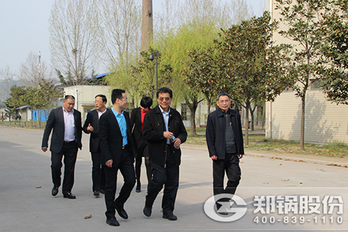 ��Ӱ����