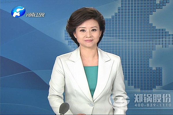 ������Ե�����ɷݵ�������������ʡȨ��ý���ע