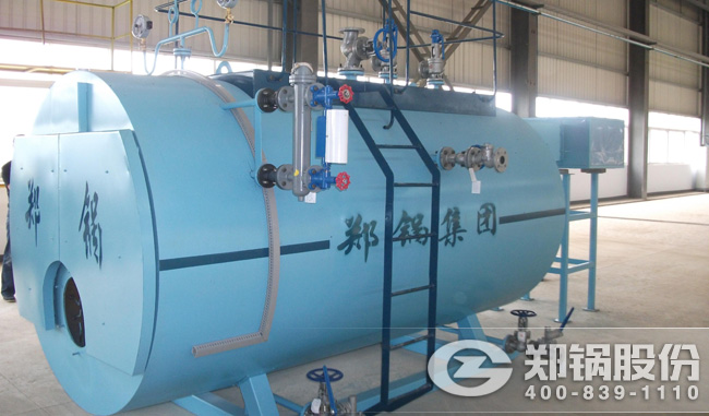 ������Ե����ȼ����¯WNS��