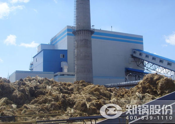 75¶ÖÉúÎïÖʵçÕ¾¹øÂ¯