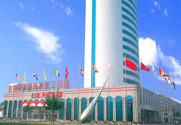 ˫�Ѽ���ѭ����������¯����Ŀ