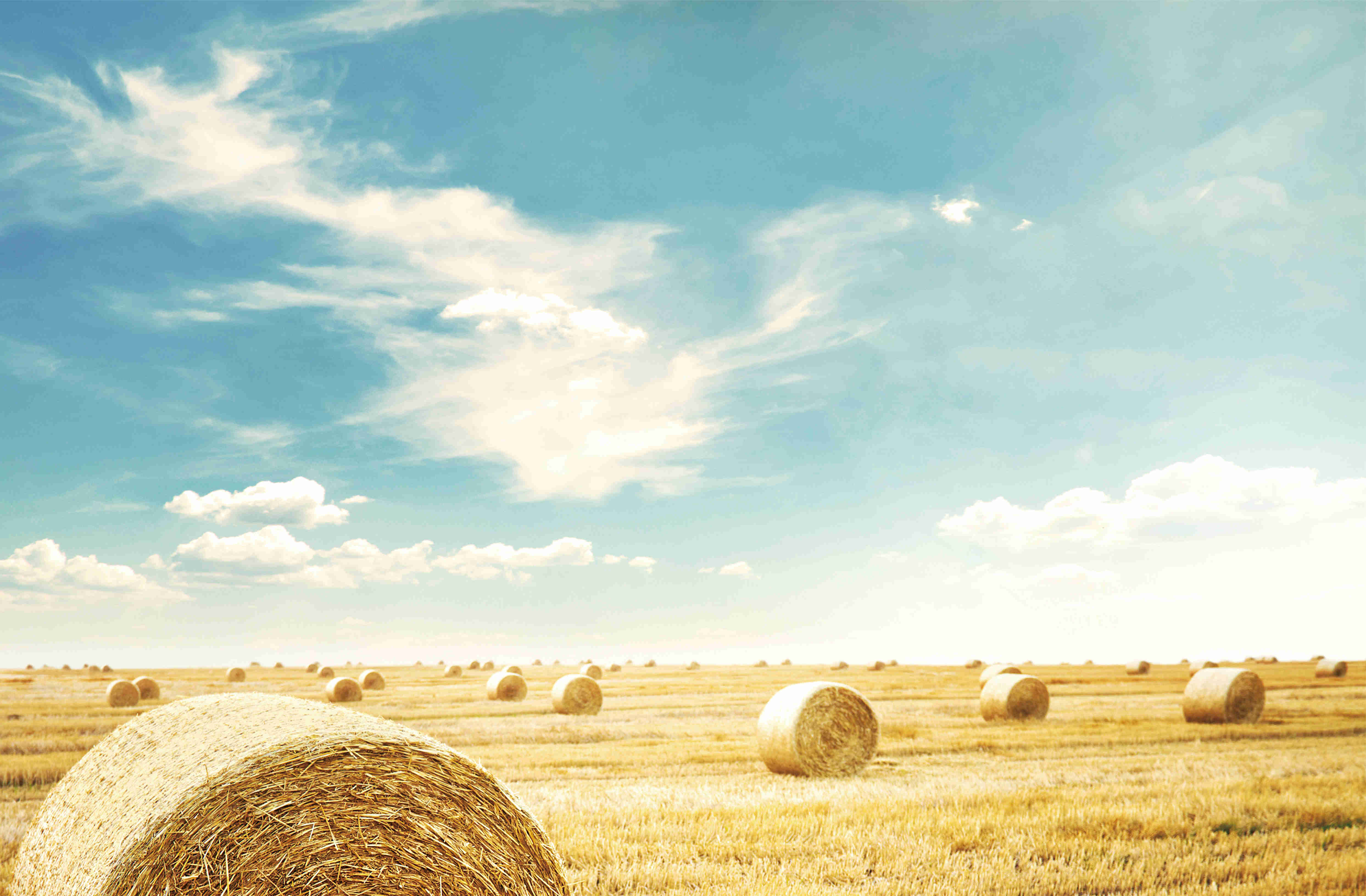 ��2021�������ʡ�ո��ۺ���������ʵʩ�ƻ�������