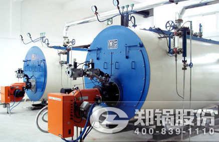 WNS��ȼ��ȼ����¯ - ������Ե����