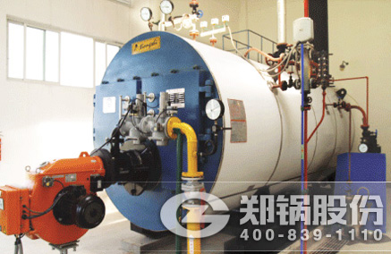 WNS��ȼ��ȼ����¯ - ������Ե����