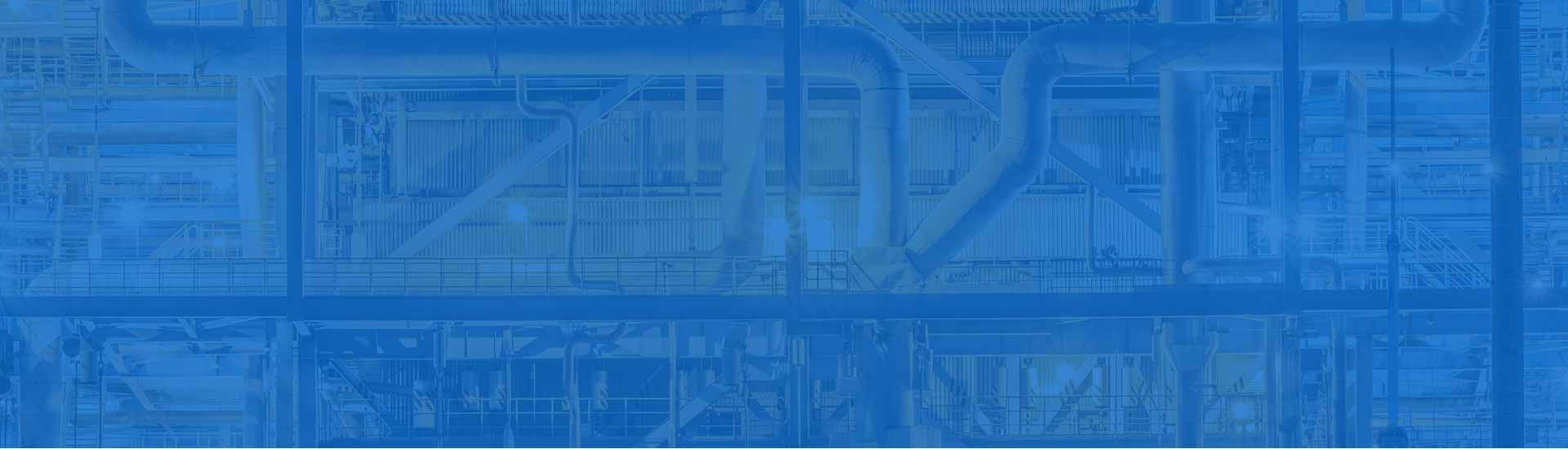 ѡ������Ե������6������