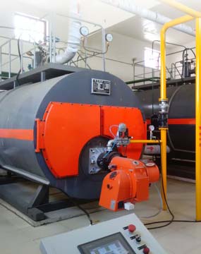 WNS��ȼ��ȼ����¯