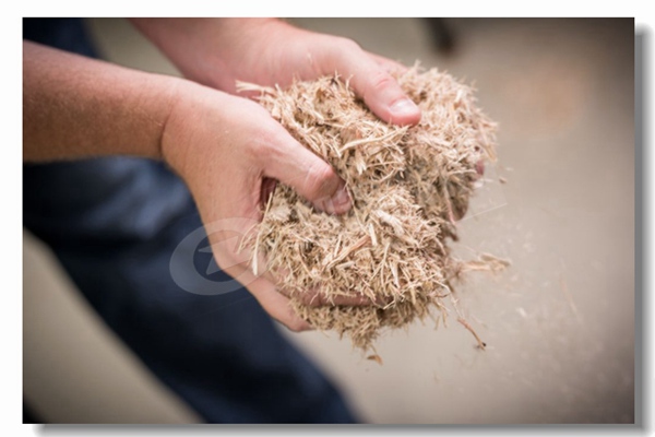 5�ֻ�����¯����Ǯ