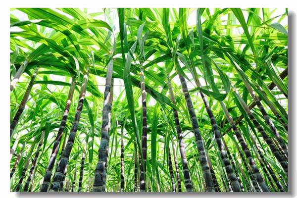 ѭ����������¯��ˮʱ����Щ����?