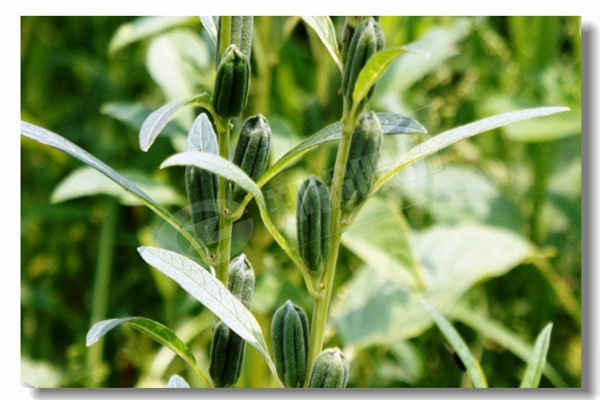 ѭ����������¯���д�����������Щ��