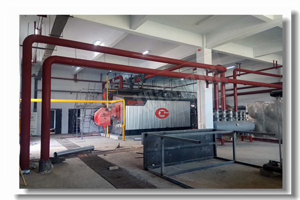 �������¯������¯25��