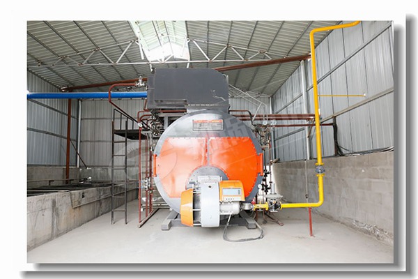 ½øË®ÕôÆûÊä³öÉúÎïÖÊȼÁϹøÂ¯