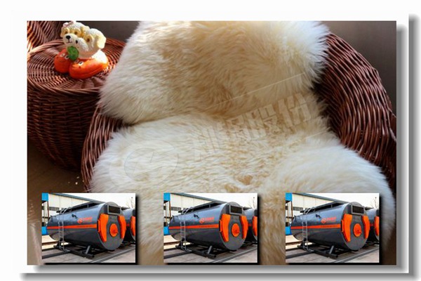 WNSϵ��ȼ�ͻ�ȼ��������¯