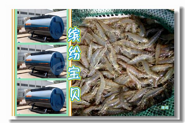 8��ȼ��������¯����������¯