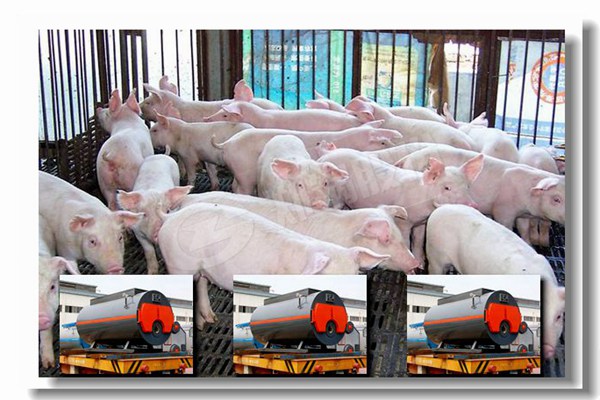 ��ҵȼ������ˮ��¯