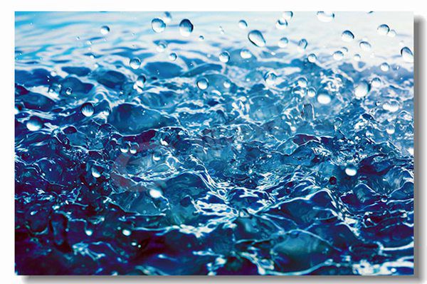 ���������ʹ�¯����Ǯ��