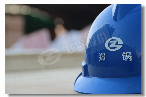 DZGϵ���ι�¯�Ŷ�ȼ�Ϲ�¯